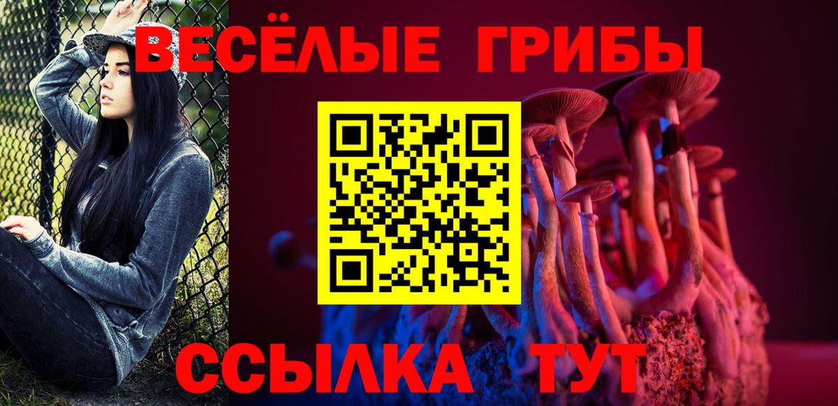 Галлюциногенные грибы GOLDEN TEACHER  где купить наркоту  Губаха  Вход с VPN 